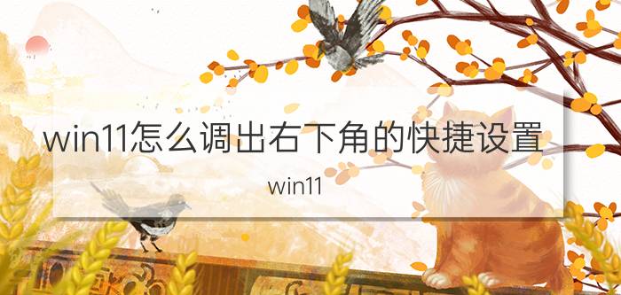 win11怎么调出右下角的快捷设置 win11 N卡驱动怎么设置？